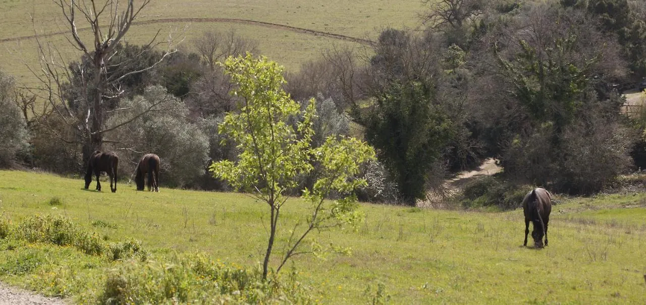 La Fondona ξενώνας Campagnatico 0*,